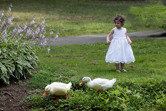 girl ducks_4842