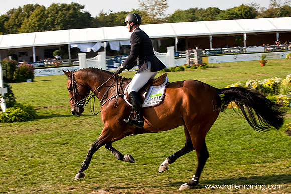 Mclain Ward & Zander
