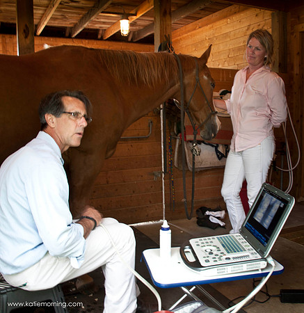 Dr Baus Grand Prix EquineBarbara Bornstein