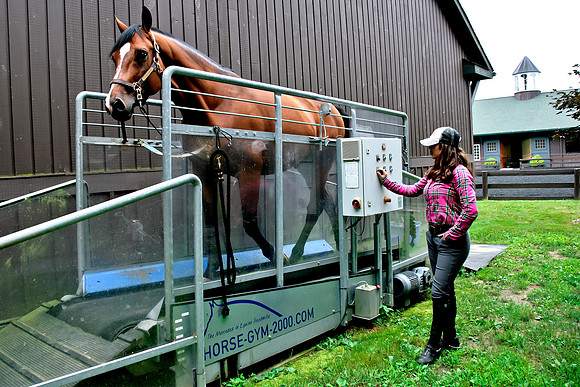 Treadmill profile w Morgan_4270